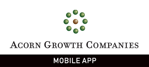 Acorn Growth Companies